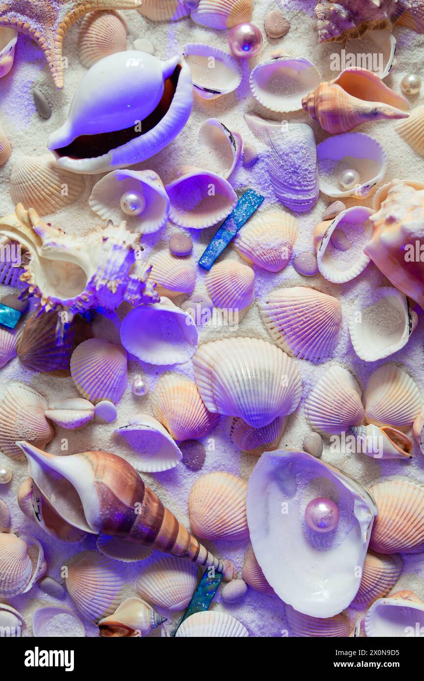 Lots of colored shells, pearls and starfish. Natural shell background. Stock Photo