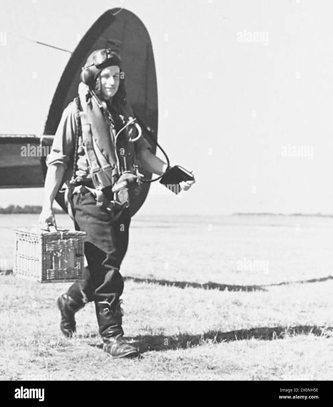 World war ii pigeons Black and White Stock Photos & Images - Alamy