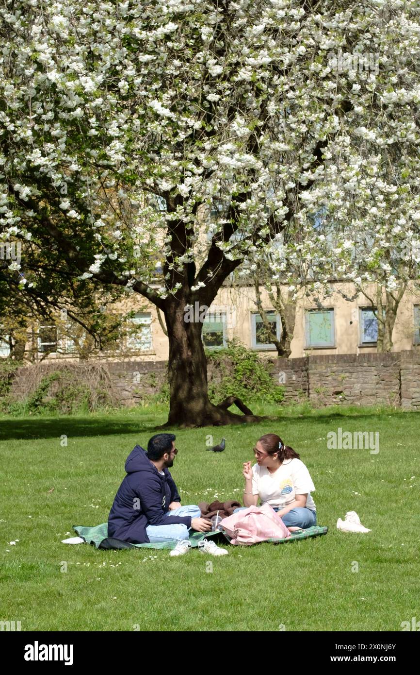 Castle Park, Bristol, UK. 13th Apr, 2024. People enjoy a sunny Saturday morning under the blossom in Castle Park Bristol. A welcome break from recent rainy weather. Credit: JMF News/Alamy Live News Stock Photo