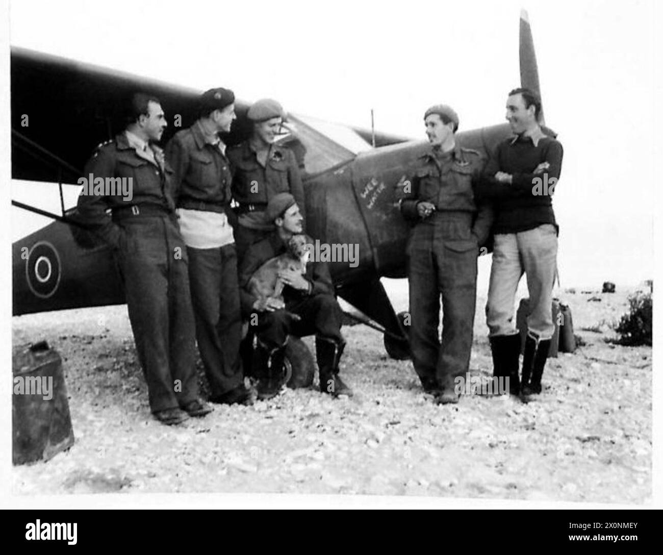 ITALY : EIGHT ARMY'THE FLYING GUNNERS' - The pilots discuss not M.Es but of the number of direct hits they have scored. They are, left to right:- Sqn.Cmdr. Capt. H.B. Warburton, R.A. of Hull Capt. J.S. Stormouth-Darling of Kelso Capt. E.D. War of Walton Abbey, G.P.A. Thompson of Bridgeworth Capt. C.G.V. Conely of Edinburgh Capt. C.J. Huttenbach of Kineton. The dog seen in the picture is 'Lady' the mascot. Photographic negative , British Army Stock Photo