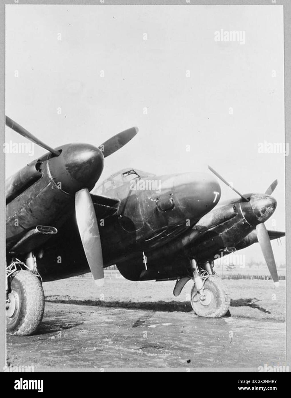 THE MOSQUITO MARK XIII NIGHTFIGHTER. - Picture issued 1945. emphasizes its distinguishing bull-like nose. Photographic negative , Royal Air Force Stock Photo
