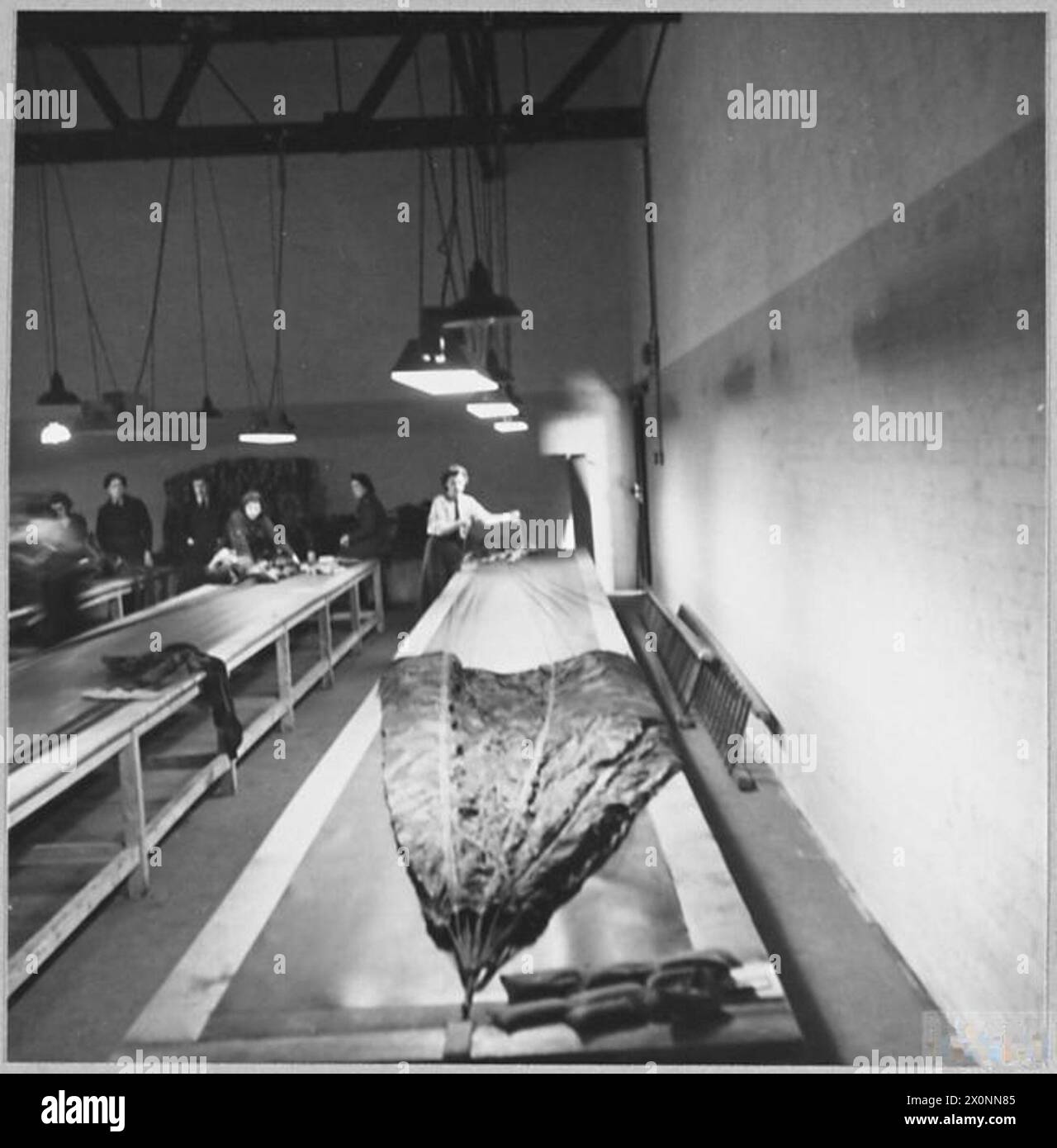 w-a-a-f-parachute-packers-picture-issued-1942-members-of-the-w-a-a