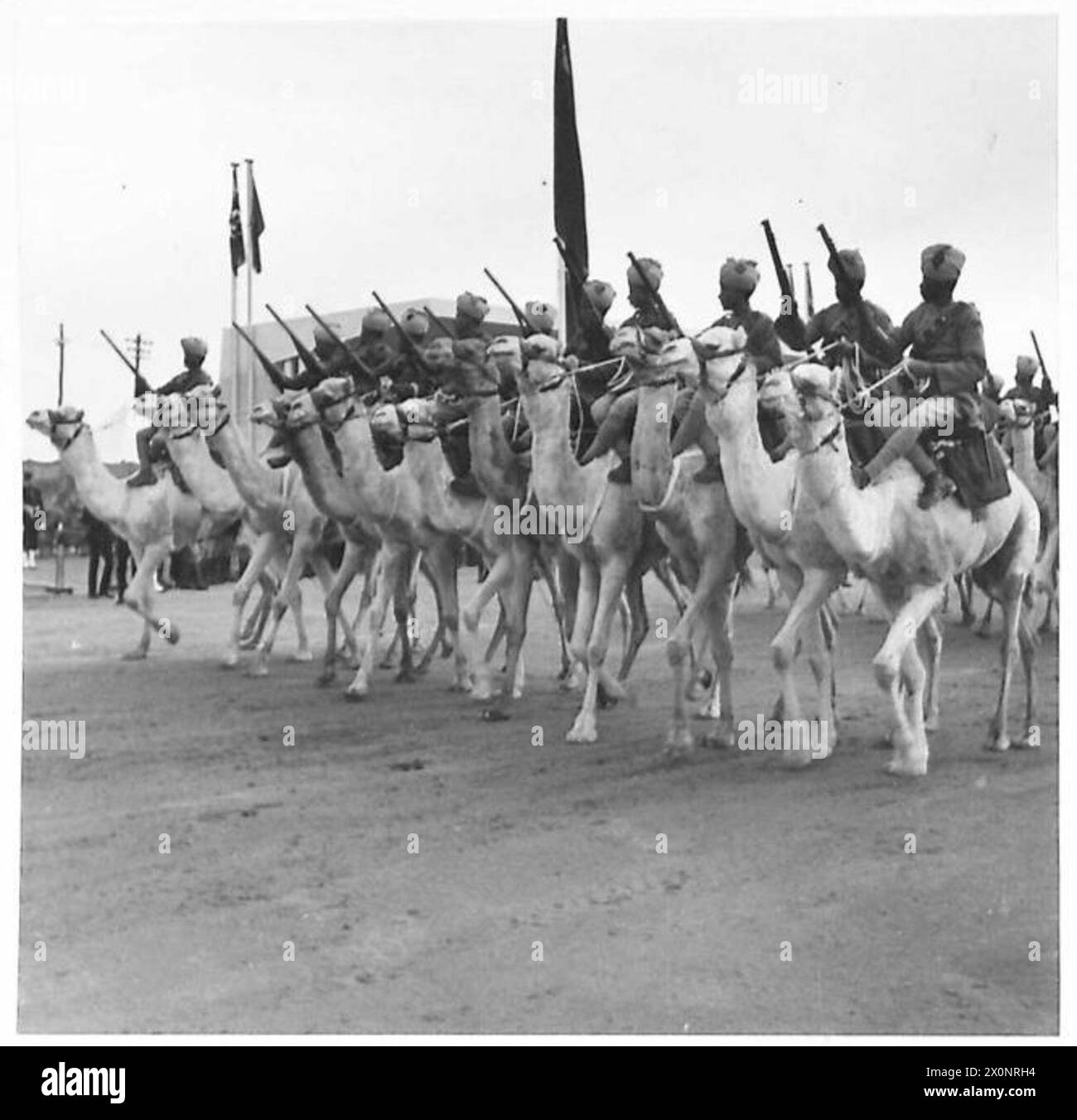 KING IBN SAUD SEES EGYPT'S MILITARY MIGHT - Egypt's traditional form of locomotion - the camel - still plays its part in the modern Egyptian Army Stock Photo