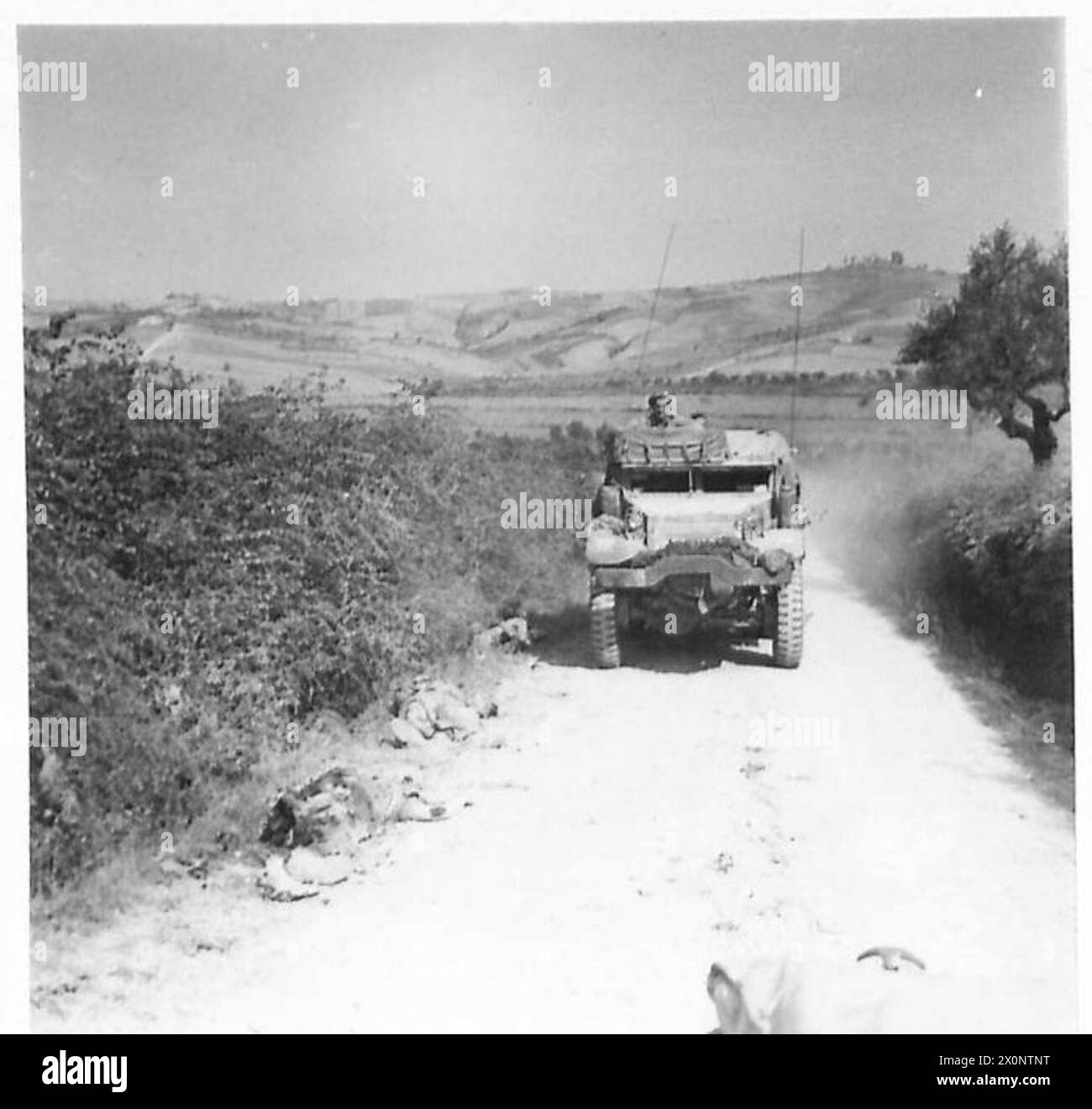 EIGHTH ARMY : CAPTURE OF S.SAVINO - German soldiers killed while defending S.Savino. Photographic negative , British Army Stock Photo