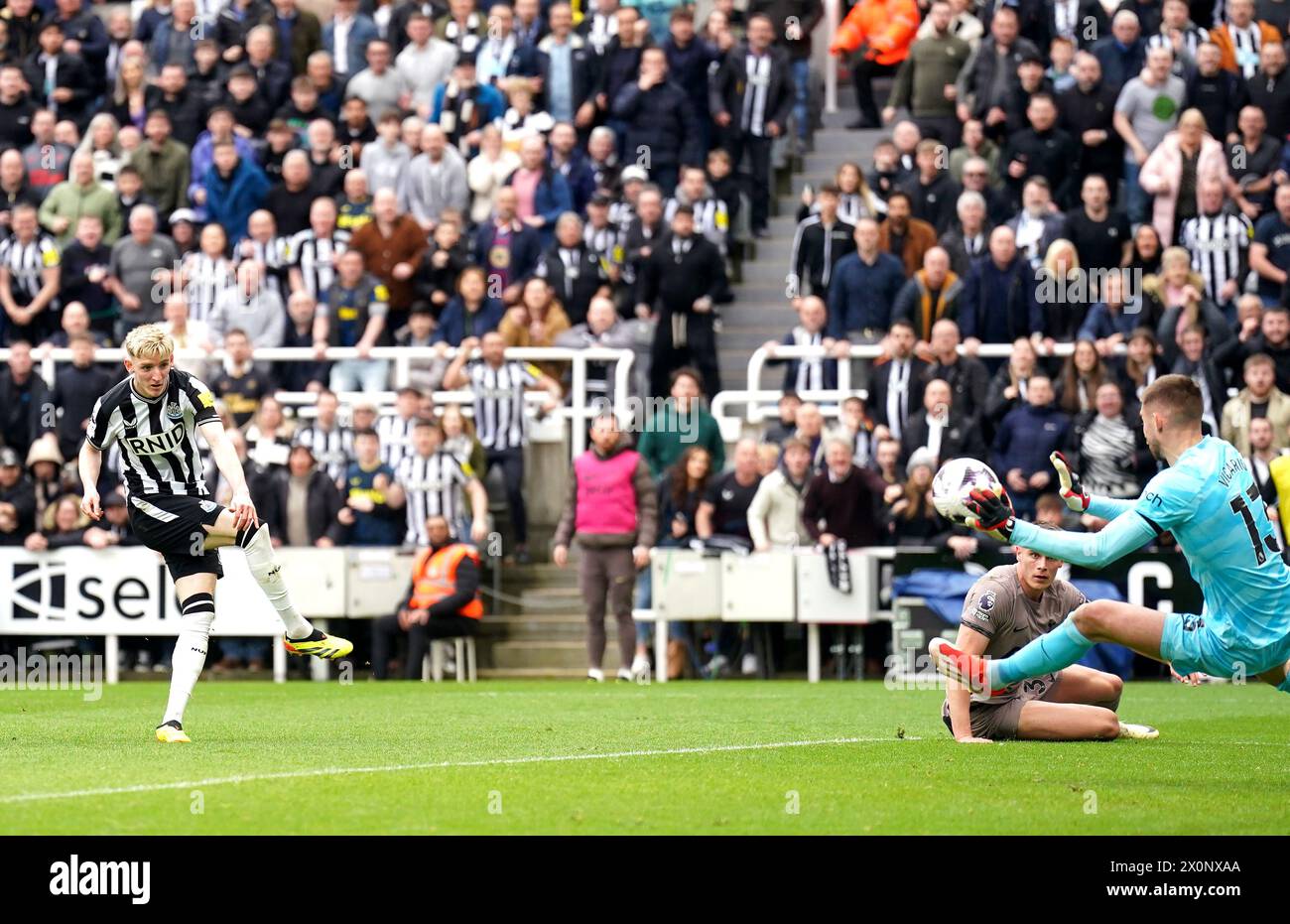 Newcastle United's Anthony Gordon scores their side's second goal of the game during the Premier League match at St James' Park, Newcastle upon Tyne. Picture date: Saturday April 13, 2024. Stock Photo