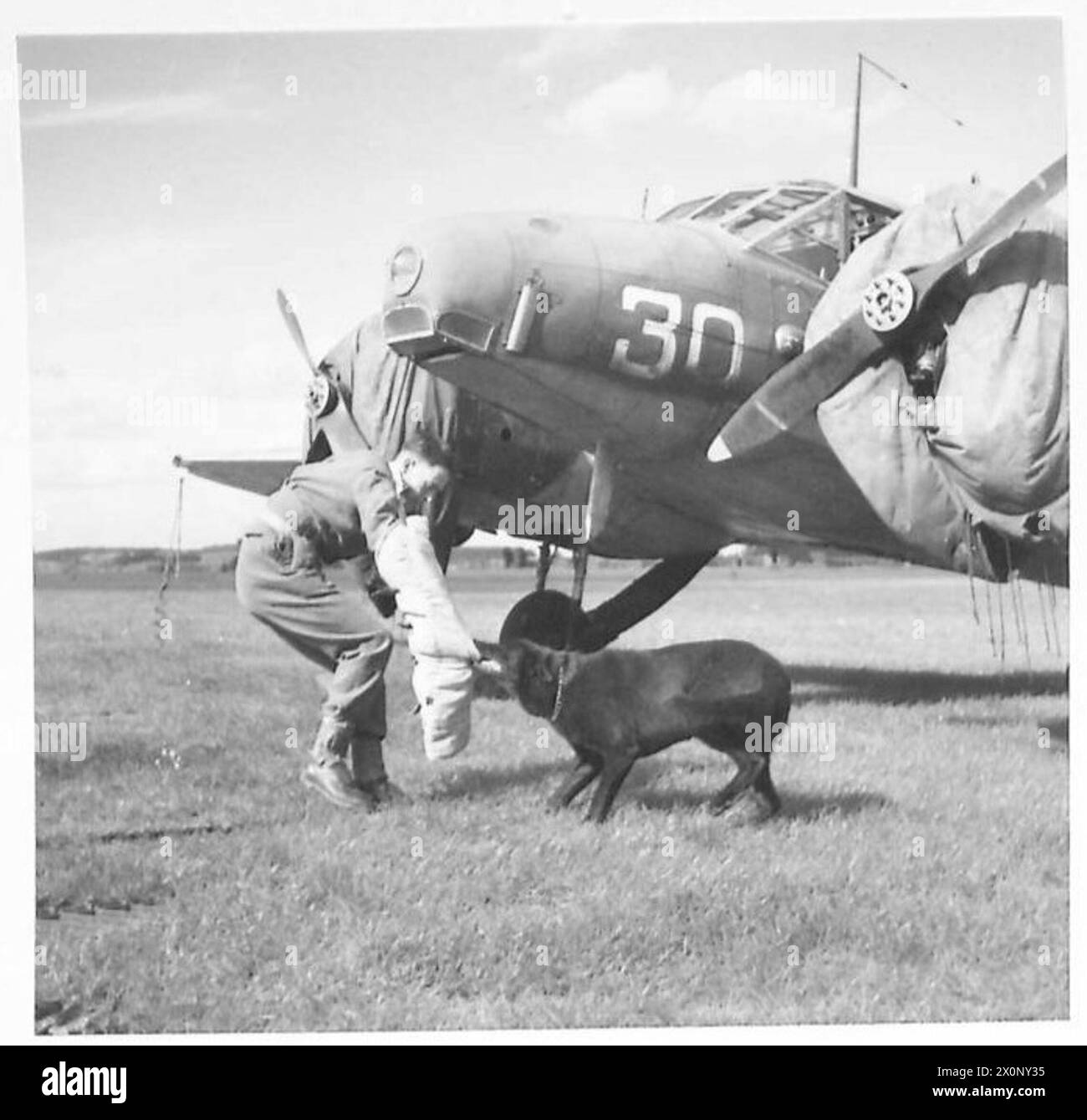 LEGO Minifigures 71051 Serie 28: Dierenkostuums 71051 | BRICKMO.com - LEGO  en Noppensteen Online Shop, image size:1300x1339