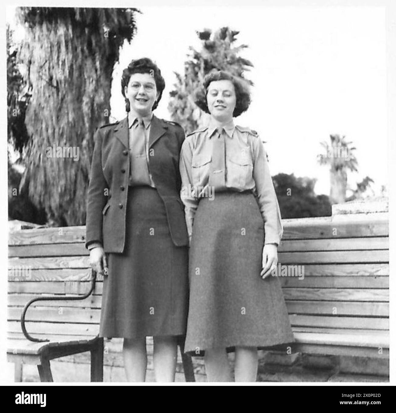 NORTH AFRICA : E.F.I. (NAAFI) SERVICES IN ALGIERS - Miss C. Cook of Tillicoyltry and Miss E.J. Fessee of Killin, Perthshire. Photographic negative , British Army Stock Photo