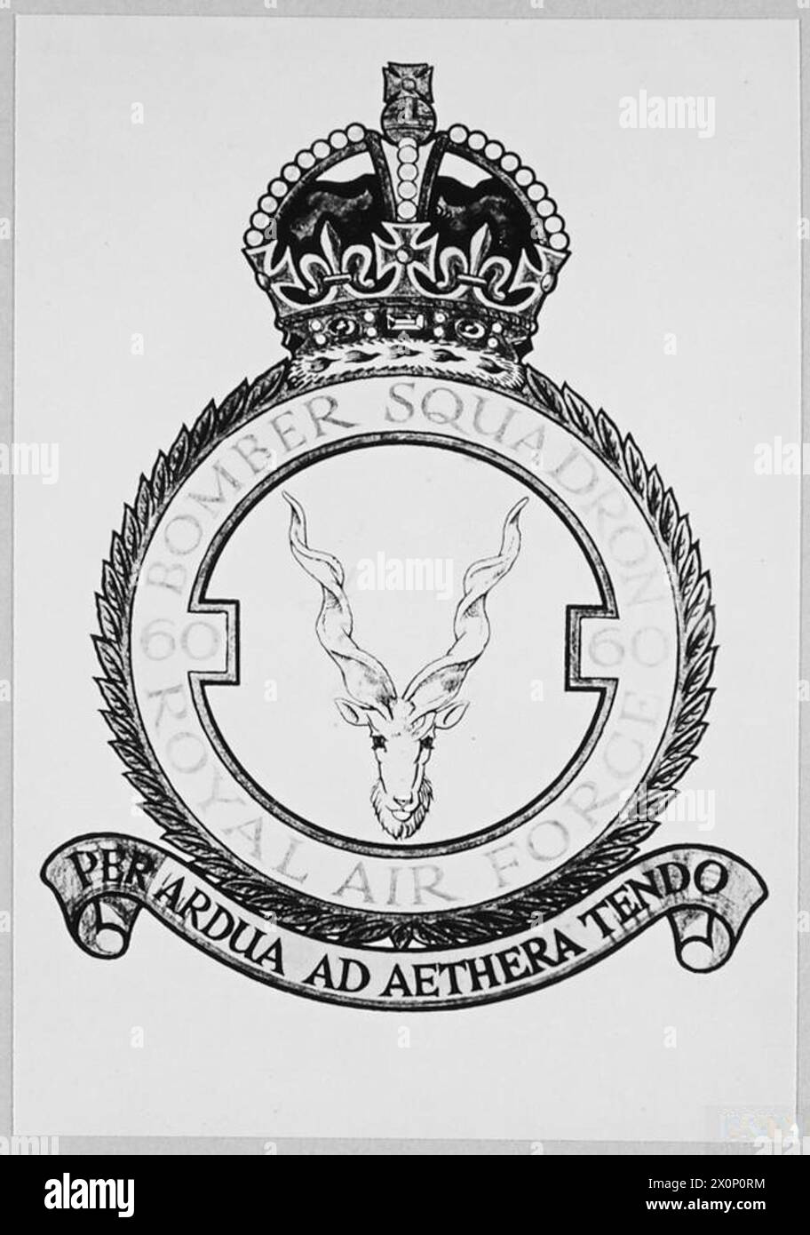 THE CREST OF NO.60 SQUADRON - Description - A markhor's head affronted. Motto 'PER ADRUM AD AETHERA TENDO' [I Strive Through Difficulties to the Sky]. The Squadron adopted Kabuli markhor as a badge in 1923. This straight horned variety is found on the higher slopes forming the immediate boundary of Afghanistan in the vicinity of the Kyber Pass. Photographic negative , Royal Air Force Stock Photo