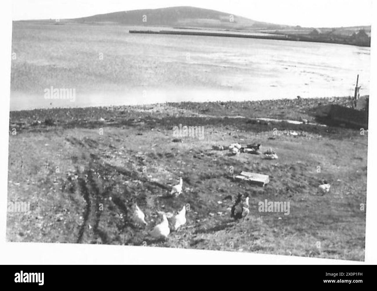 In the Orkneys - Views of Sunnybank (Orkney) Photographic negative , British Army Stock Photo