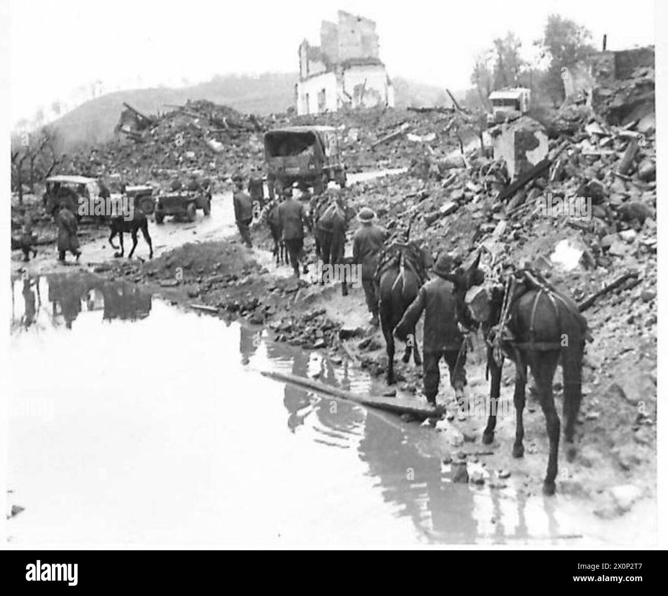 ITALY : FIFTH ARMYTHE ASSAULT OF MOUNT CAMINO - A string of pack mules