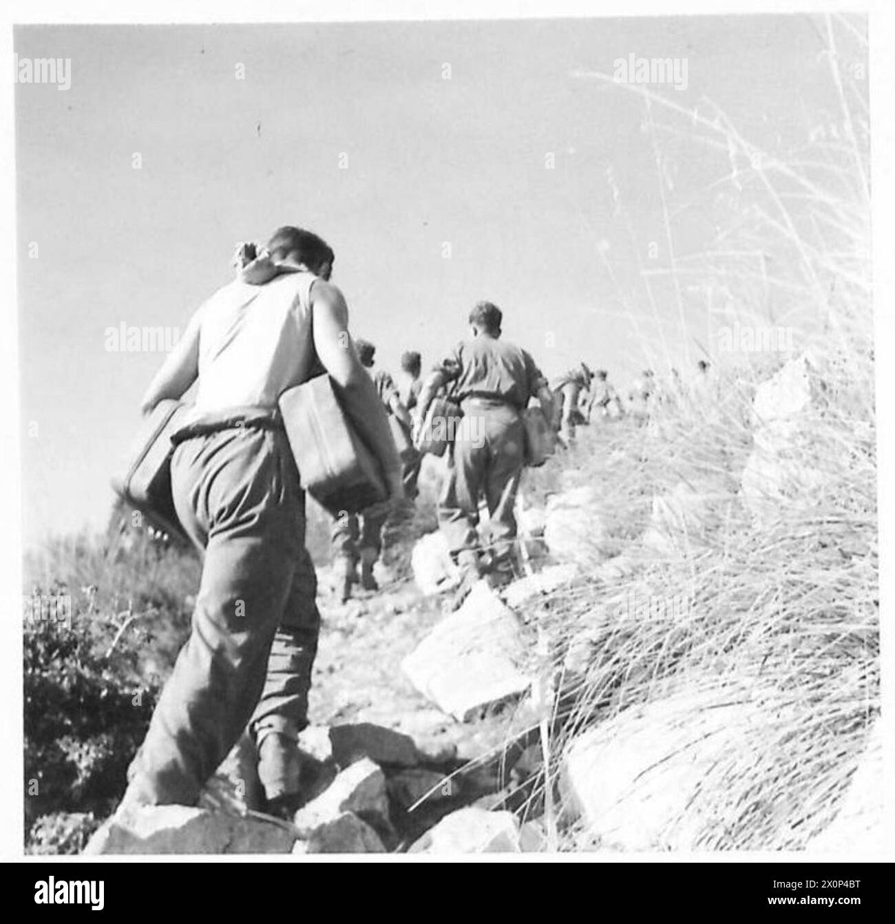 A human pack train is transporting supplies up a hill on the Fifth Army ...