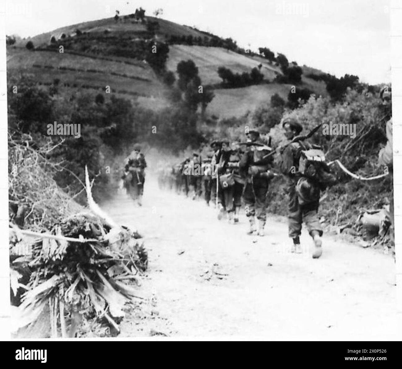 Men of the 2/5 Queens march past barbed wire and felled-tree defences at the beginning of the Gothic Line during Eighth Army operations. Photographic negative by the British Army. Stock Photo