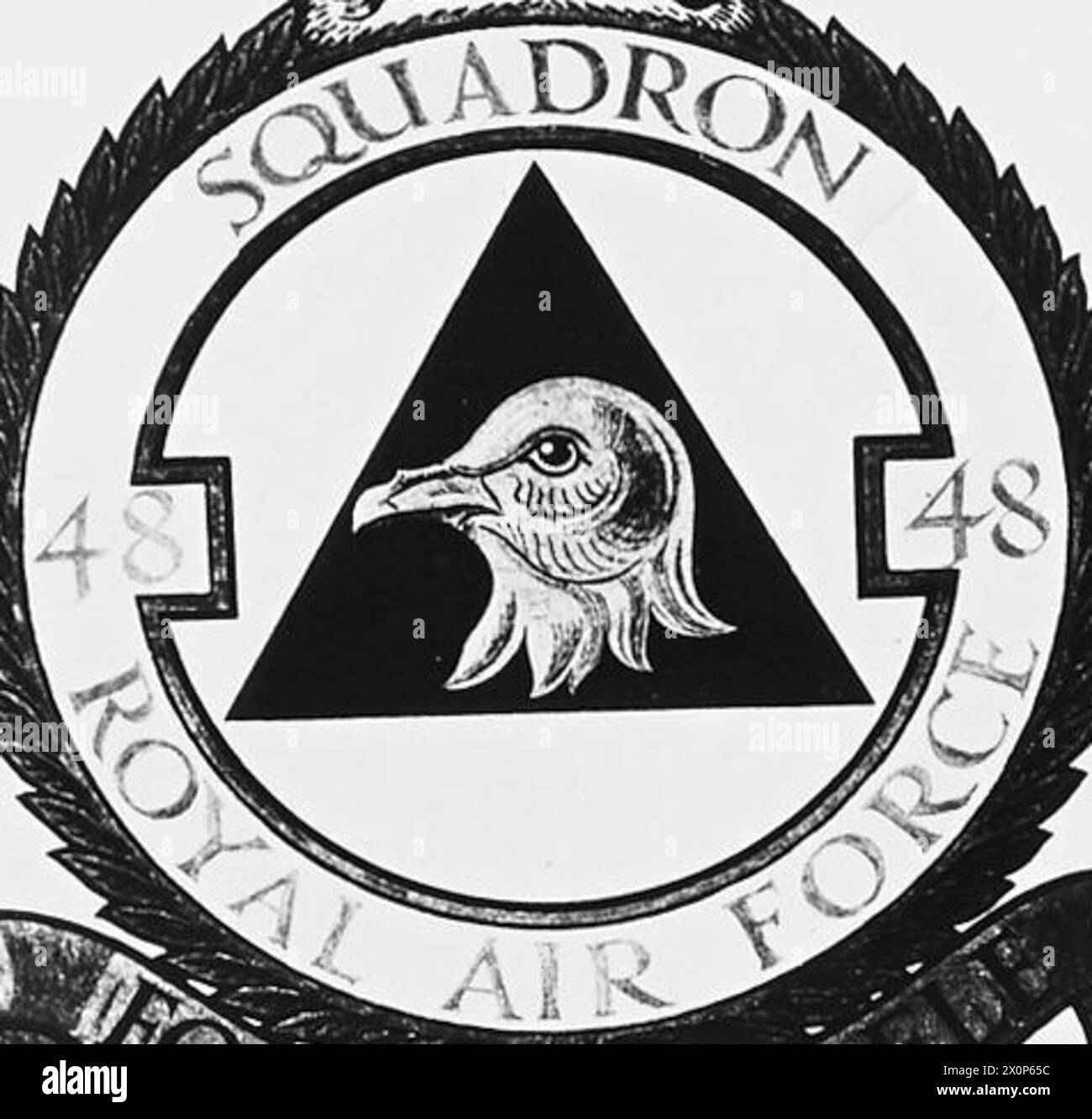 48 squadron Black and White Stock Photos & Images - Alamy