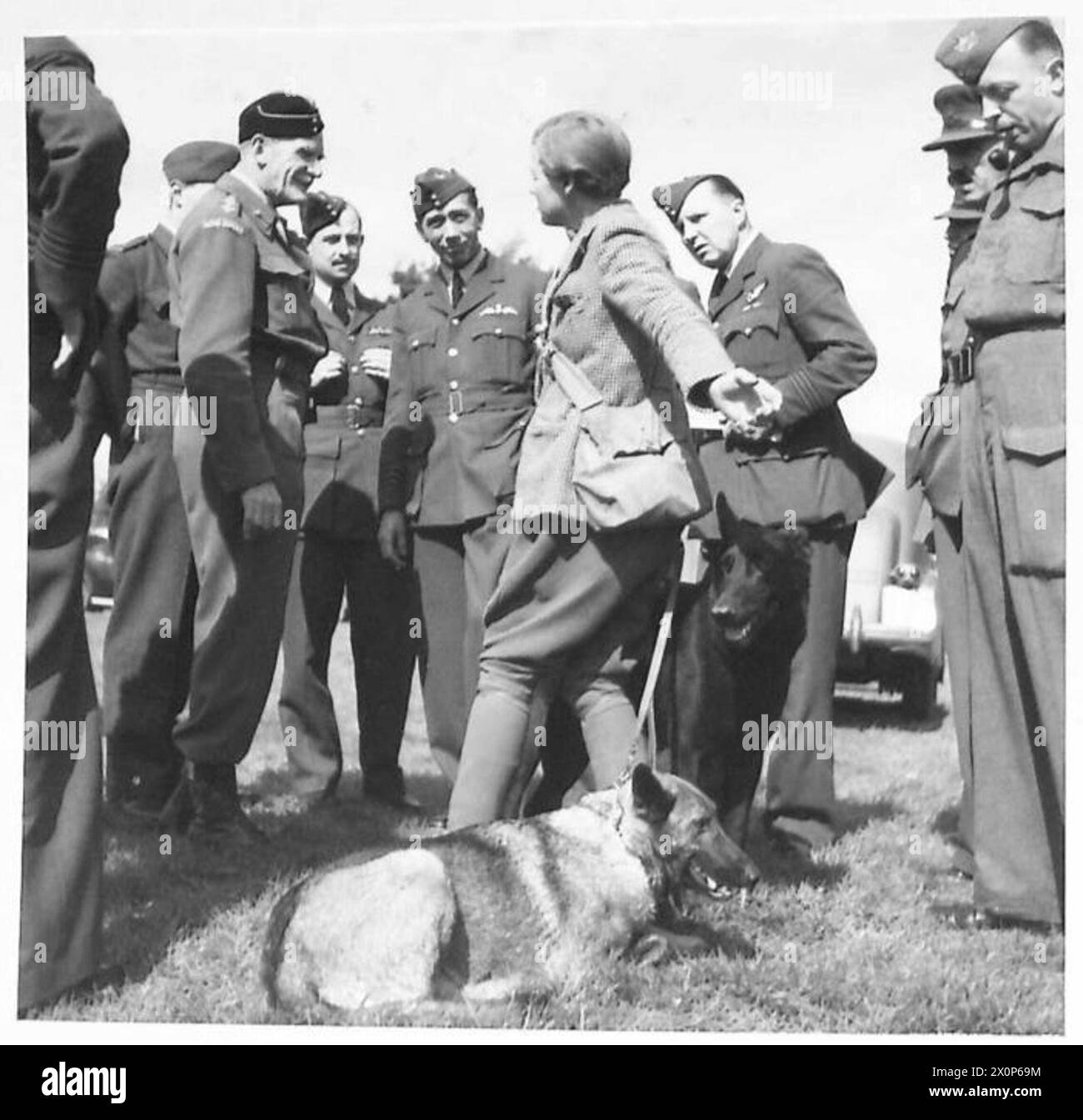 DOGS TO HELP IN AERODROME DEFENCE - Mrs. Griffiths, trainer, explaining the accomplishments of her dogs. Photographic negative , British Army Stock Photo