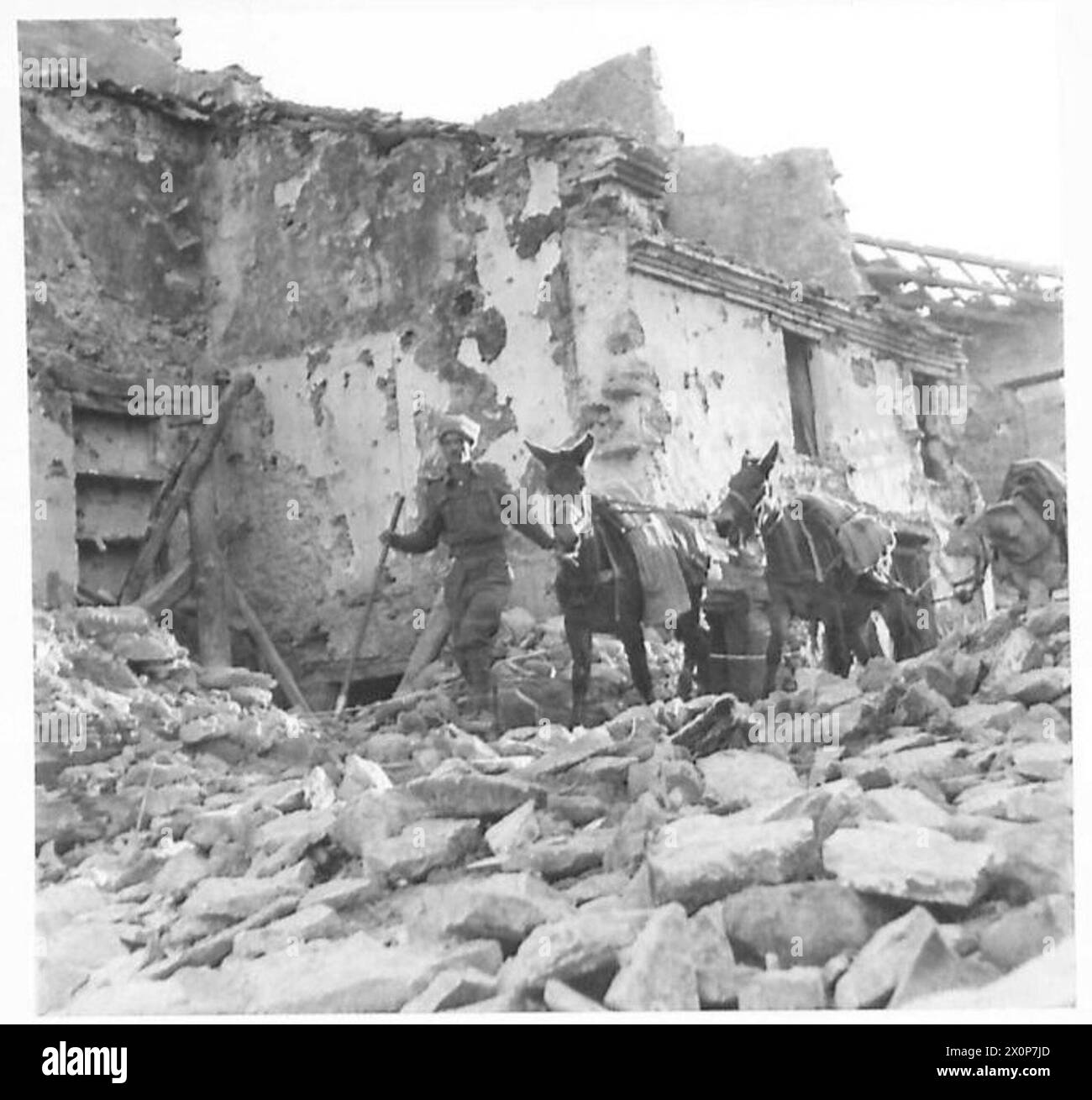 Indian troops lead mules through debris in a front line village along the Eighth Army’s position in Italy. Photographic negative by the British Army. Stock Photo