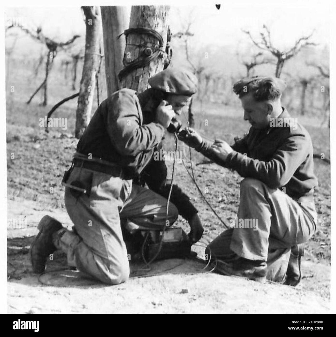 THE BRITISH ARMY IN NORTH AFRICA, SICILY, ITALY, THE BALKANS AND AUSTRIA 1942-1946 - Linemen testing a through line. Sgmn. D.B. Pilkington (left) of 55 Warstock Road, Kings Heath, Birmingham and Sgmn. F. Corcoran of Mote Hill, Glen Luce, Scotland. Photographic negative , British Army Stock Photo