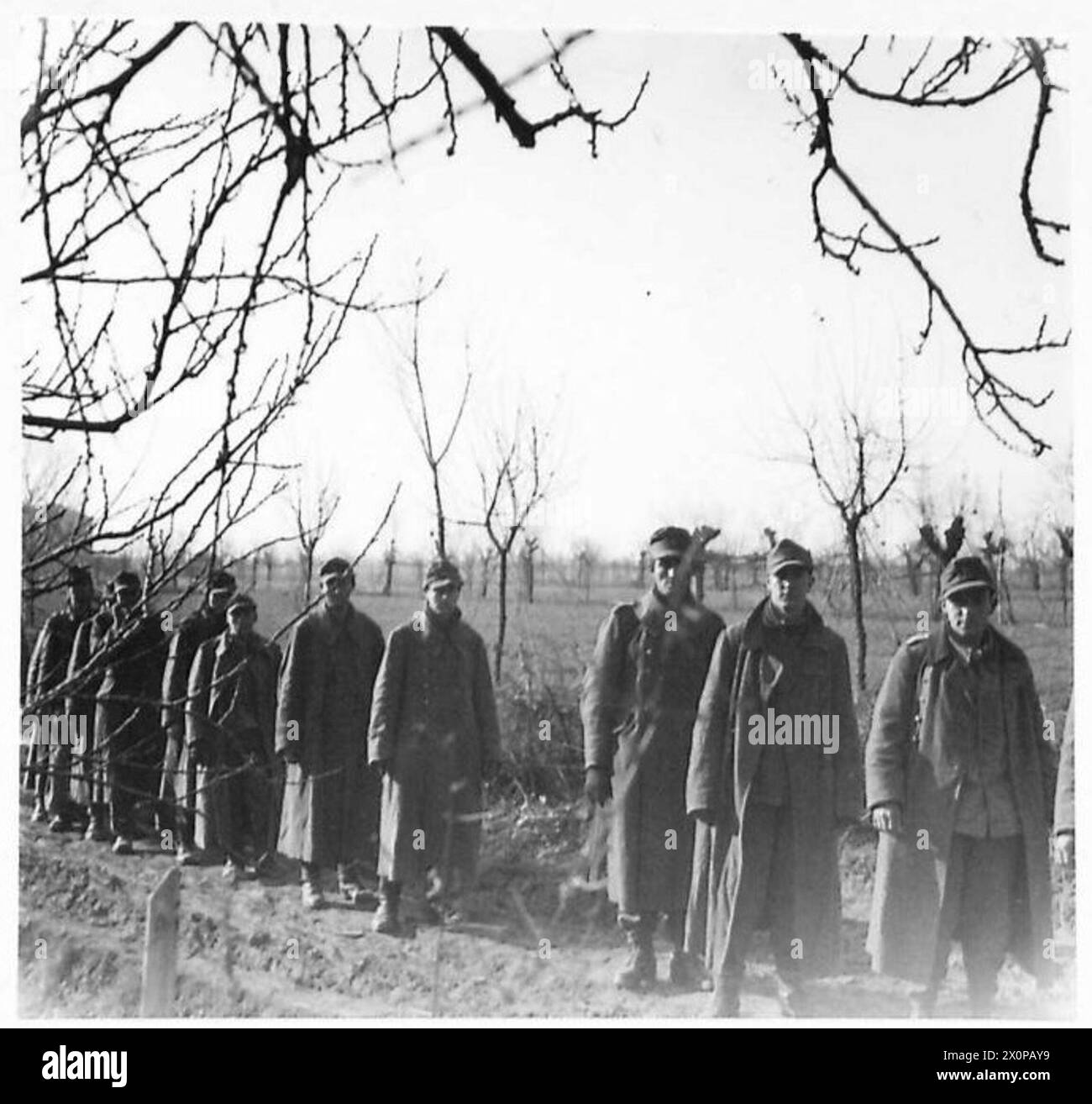 German prisoners captured during the Eighth Army infantry advance across the River Senio in Italy. Photographic negative, British Army. Stock Photo
