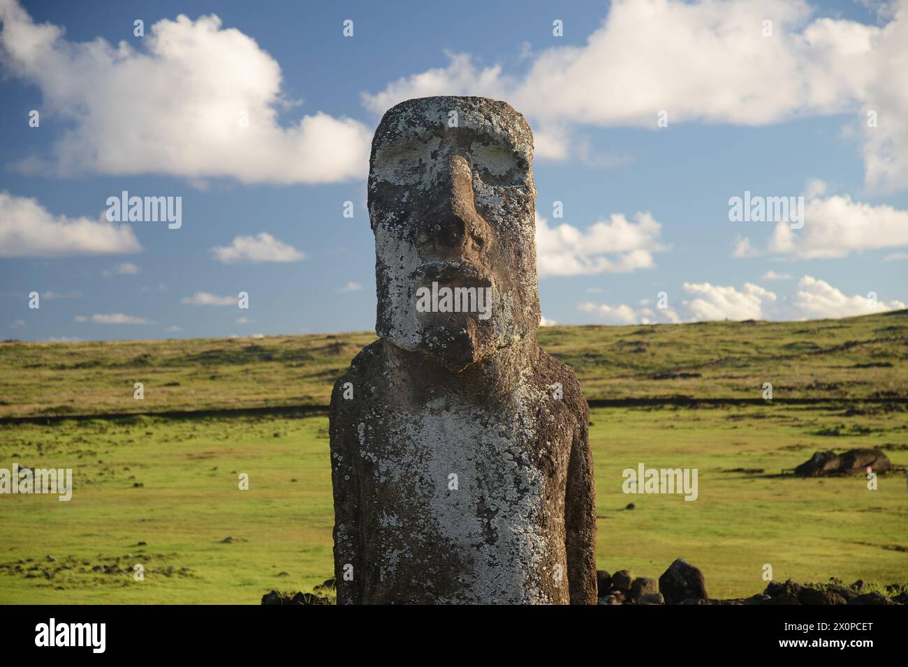 A large statue of a man stands in a grassy field. The statue is covered in white powder, giving it a weathered appearance. The sky above is cloudy, cr Stock Photo