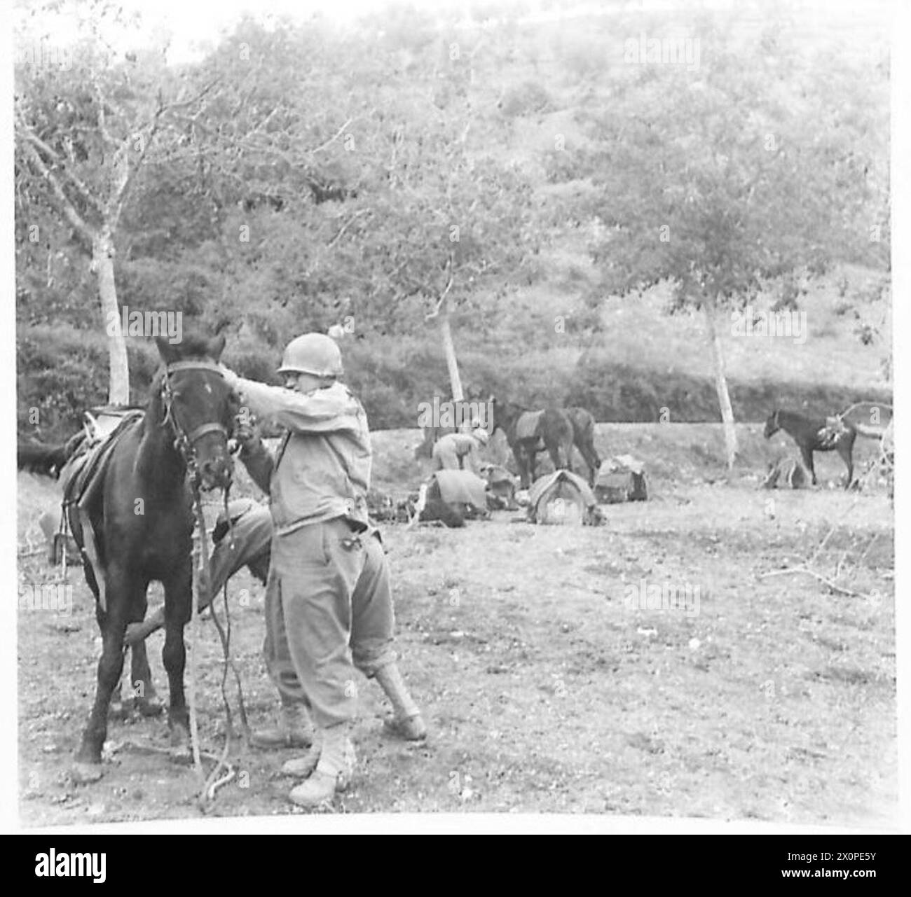 Soldiers and animals Black and White Stock Photos & Images - Alamy