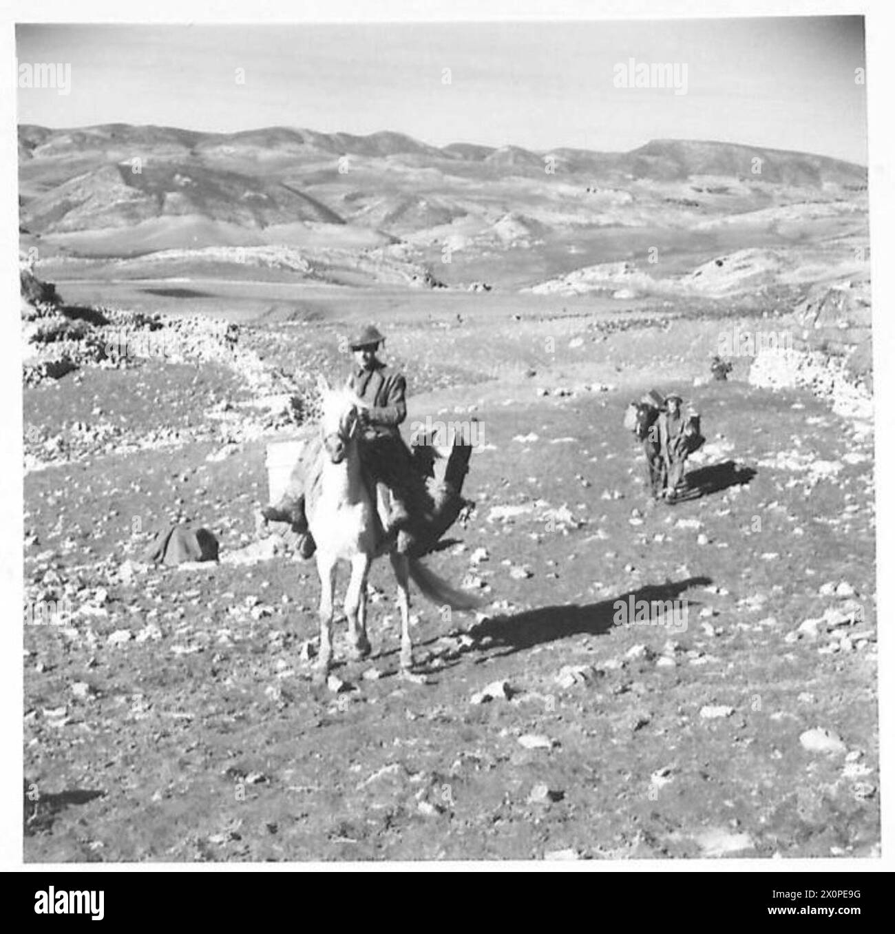 THE BRITISH ARMY IN THE TUNISIA CAMPAIGN, NOVEMBER 1942-MAY 1943 - Fusilier Robinson (of Lincoln) and Fusilier Bebb (of Bury) of the 2nd Battalion, Lancashire Fusiliers (11th Infantry Brigade, 78th Division) leading pack mules up the hillside near Sidi Nsir, 2 January 1943 British Army, British Army, 1st Army, British Army, 78th Infantry Division, British Army, Lancashire Fusiliers, British Army, Lancashire Fusiliers, Bn, 2 Stock Photo