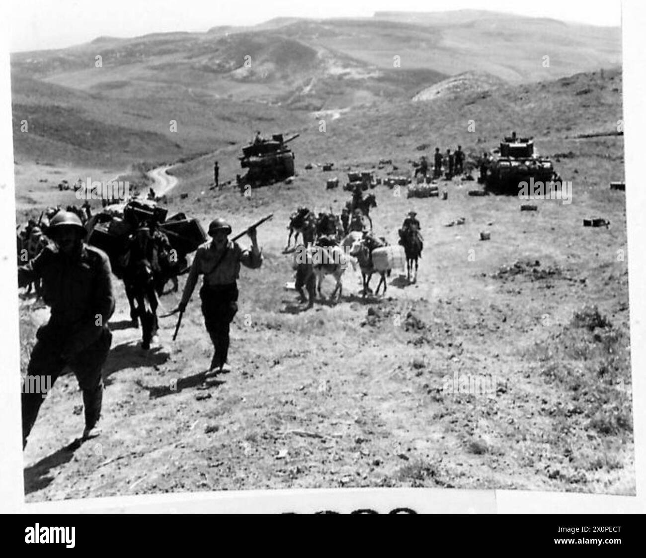 WITH THE FIRST ARMY - A mule train winds up the steep mountain path towards Tangoucha. The Mule train is seen passing Churchill tanks, harbouring in a gulley for repairs after their strenuous task of supporting the infantry over the boulder strewn ground in this area. Photographic negative , British Army Stock Photo