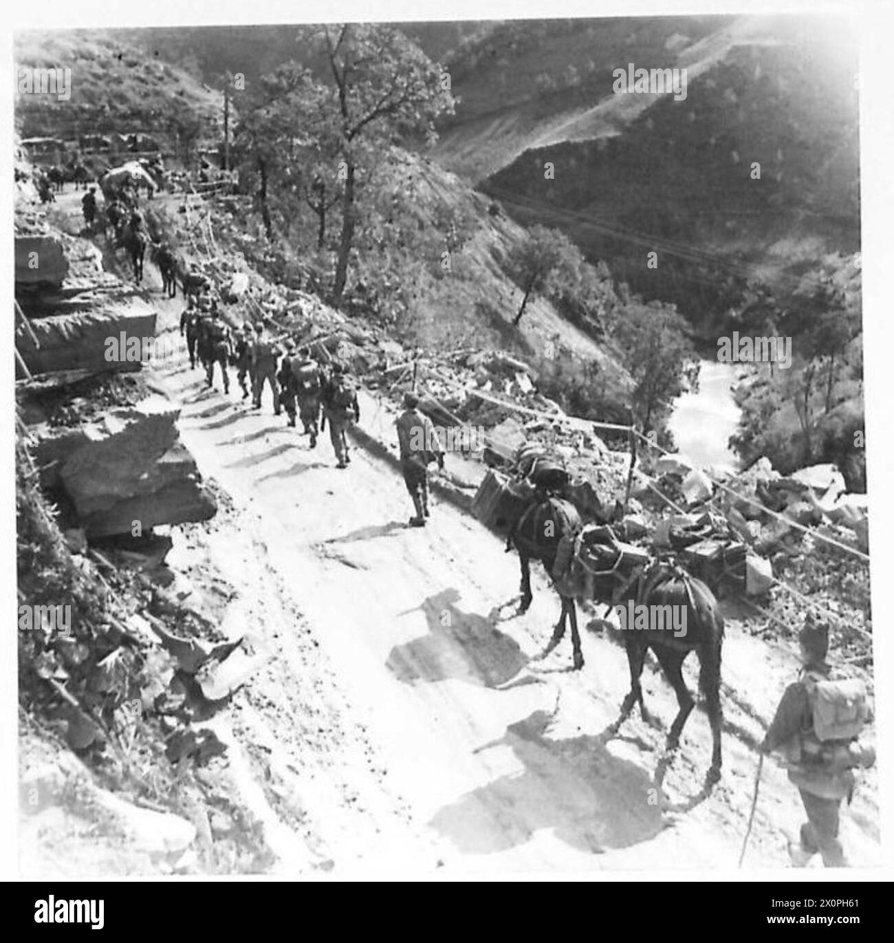 FIFTH ARMY : VARIOUS - A patrol of 7 Btn.Rifle Brigade with their mules ...