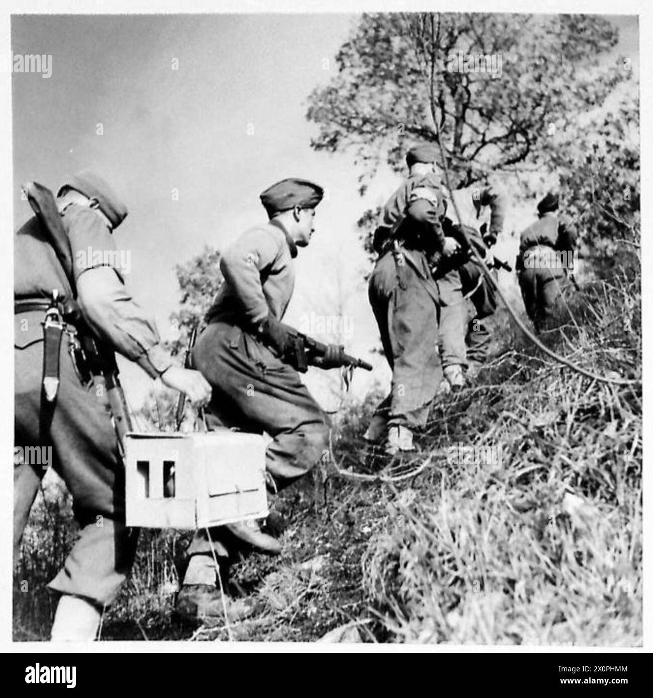 World war ii pigeons Black and White Stock Photos & Images - Alamy