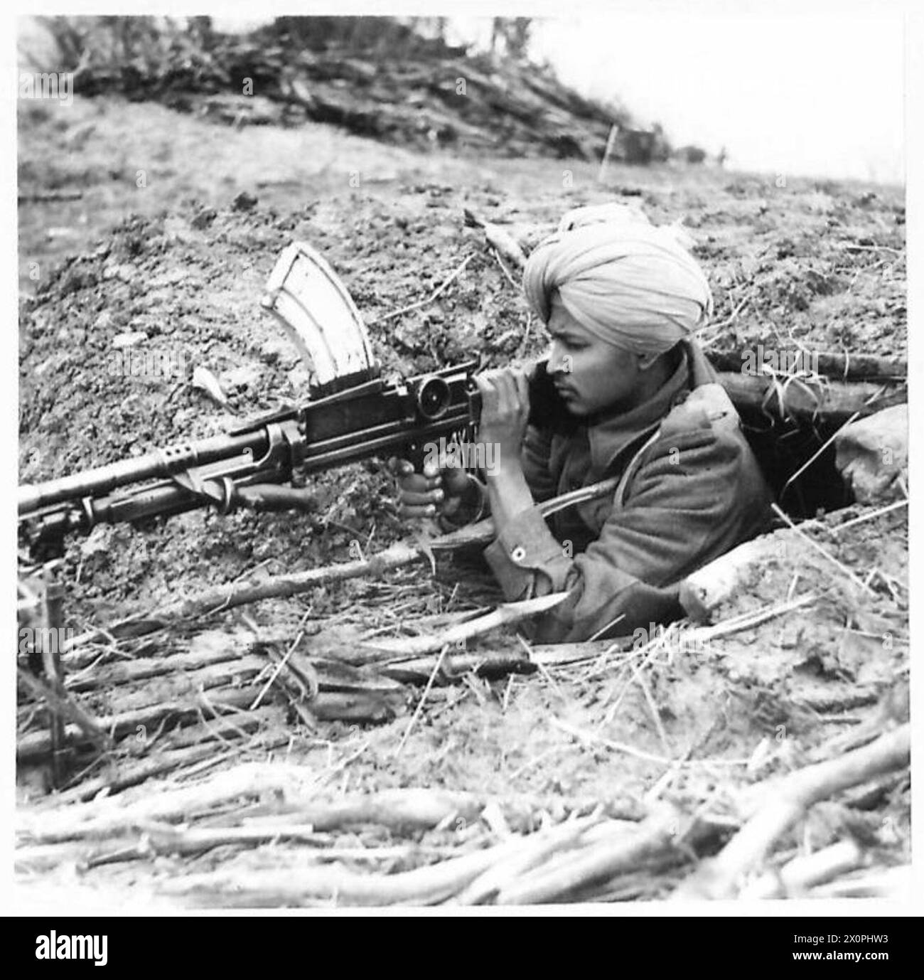 Right flank Cut Out Stock Images & Pictures - Alamy