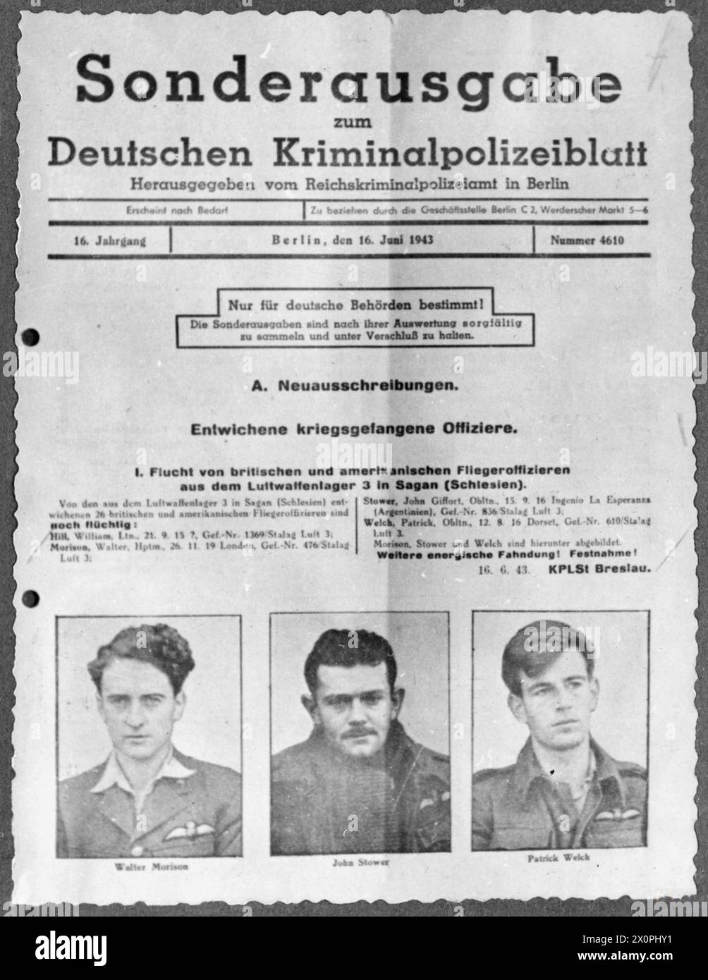 ALLIED PRISONERS OF WAR IN GERMANY, 1939-1945 - A wanted poster issued by the Germans for three RAF officers, Patrick Lorne Welch, Flying Officer John Gifford Stower and Flight Lieutenant Walter Morrison, who tried to escape from Stalag Luft III, Sagan (during so called delousing break) on 12 June 1943. Flying Officer Stower was murdered by the Gestapo on 31 March 1944 after being recaptured after failure of the Great Escape Royal Air Force, Morrison, Walter McDonald, Stower, John Gifford 'Johnny', Welch, Patrick Palles Lorne Elphinstone Stock Photo