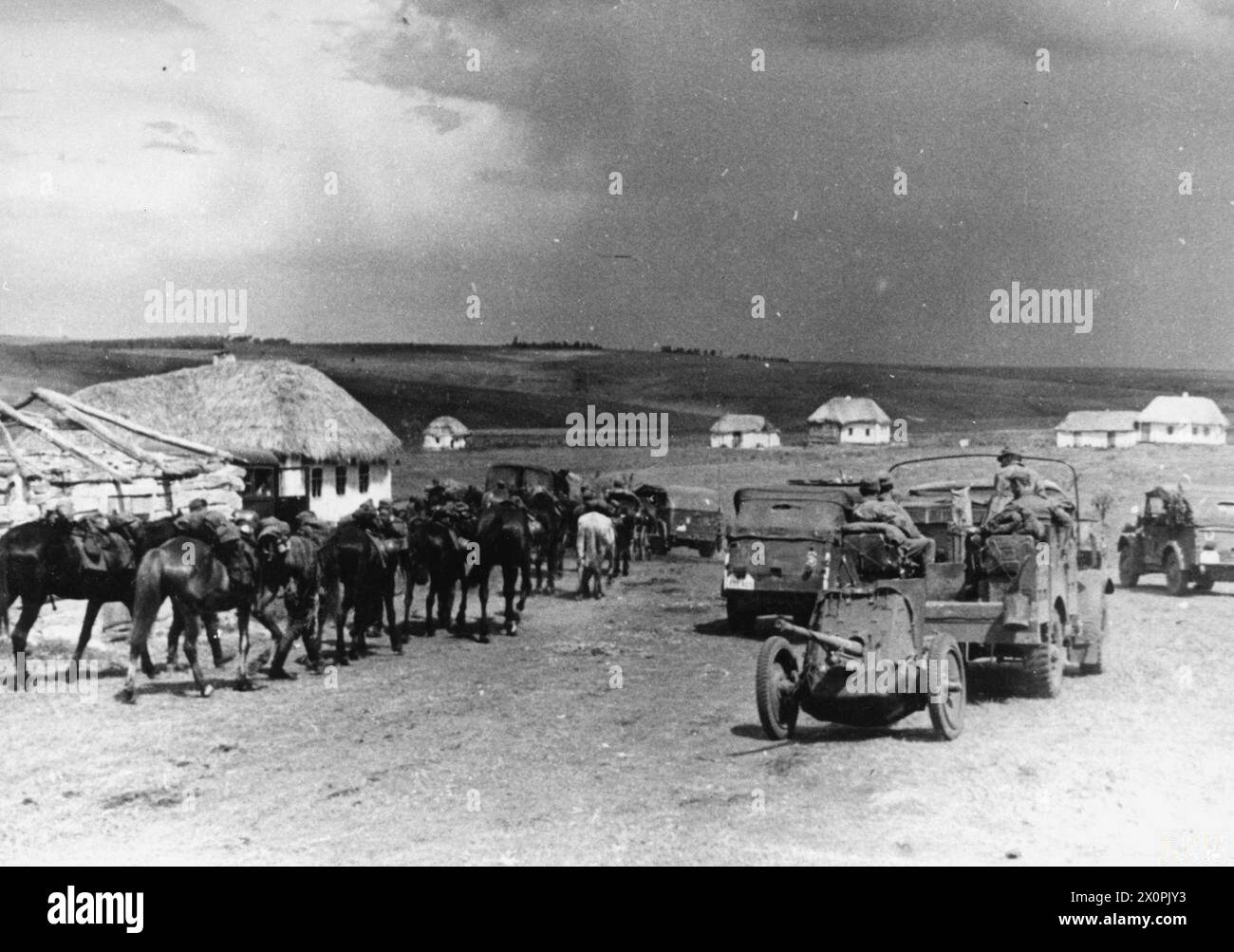 THE GERMAN ARMY ON THE EASTERN FRONT, 1941-1945 - German cavalry, trucks and a towed 37mm anti-tank gun advance through a Russian village in the Ukraine, 1942 Stock Photo