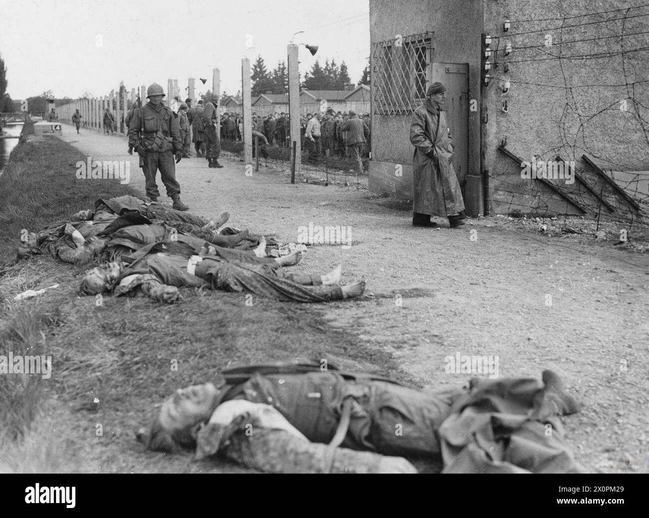 THE HOLOCAUST, 1941-1945 - Bodies of some of the former SS guards lie stretched out on the of a moat surrounding the Dachau concentration camp as troops of the Seventh US Army patrol the area and check liberated prisoners in the electrified barbed wire enclosure, late April 1945 US Army Stock Photo