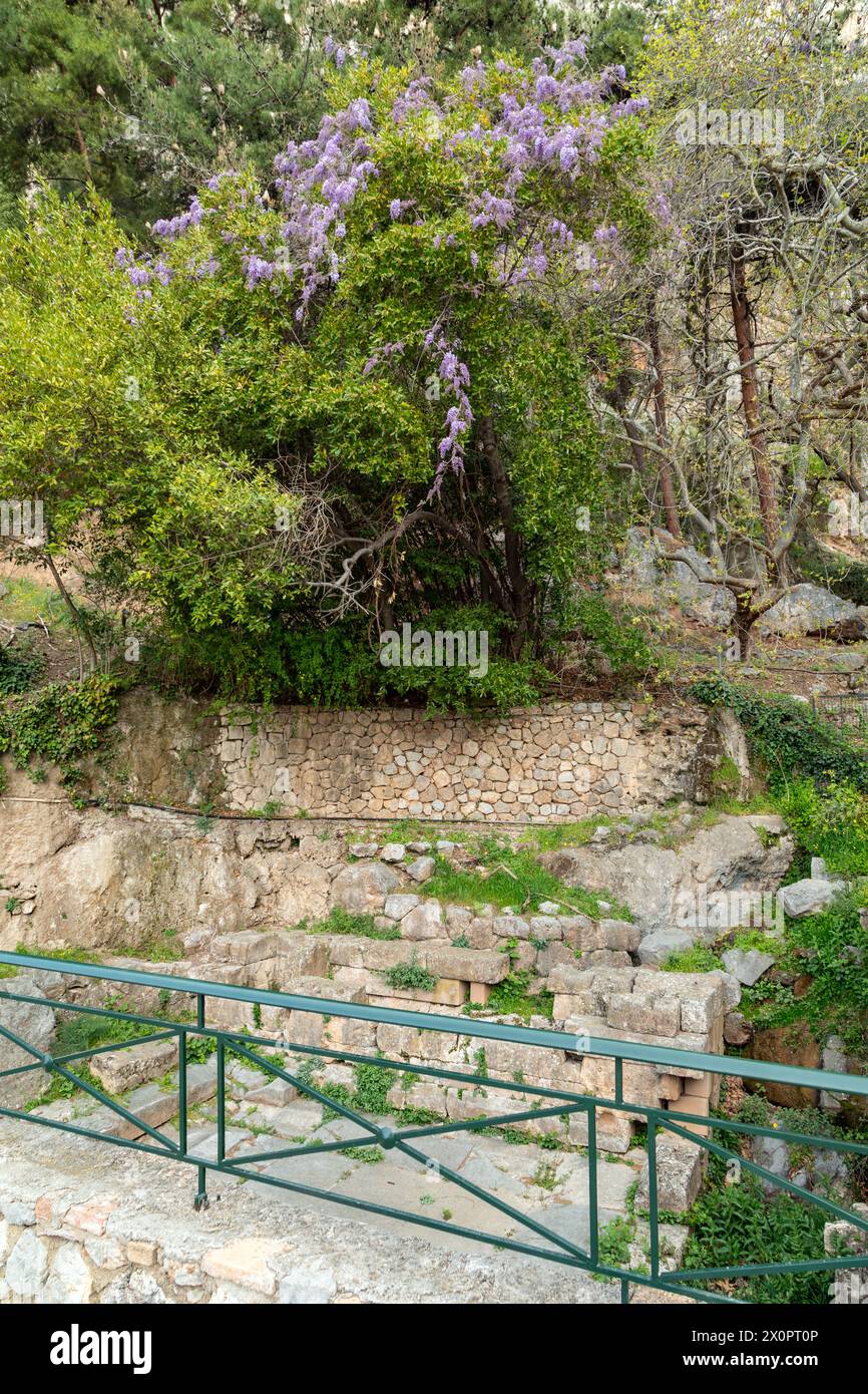 The Kastalian Spring or Castalian Spring, Delphi, Greece Stock Photo ...