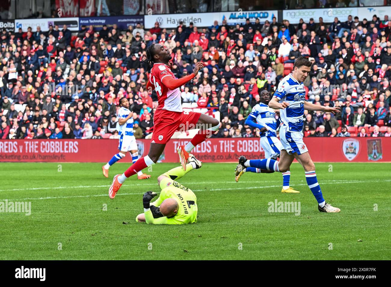 David Button of Reading claims the ball ahead of Devante Cole of Barnsley during the Sky Bet League 1 match Barnsley vs Reading at Oakwell, Barnsley, United Kingdom, 13th April 2024 (Photo by Craig Thomas/News Images) in, on 4/13/2024. (Photo by Craig Thomas/News Images/Sipa USA) Credit: Sipa USA/Alamy Live News Stock Photo