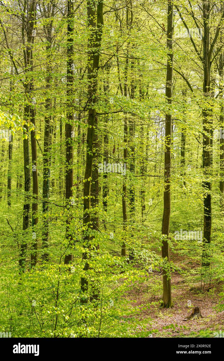 Habitat nature natural landscape ecosystem ecology wild wilderness ...