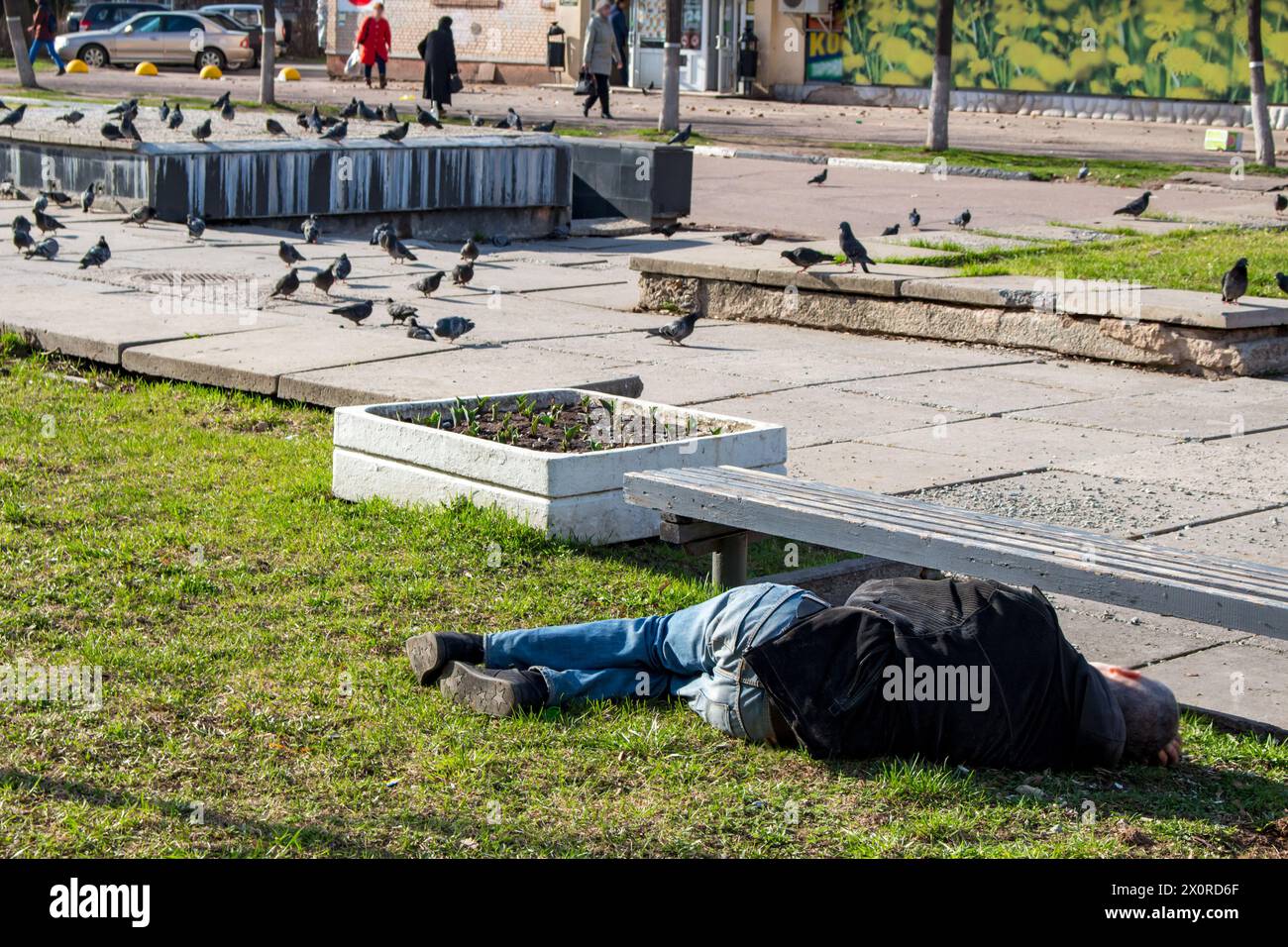 A drunk man asleep on the grass in the city Stock Photo