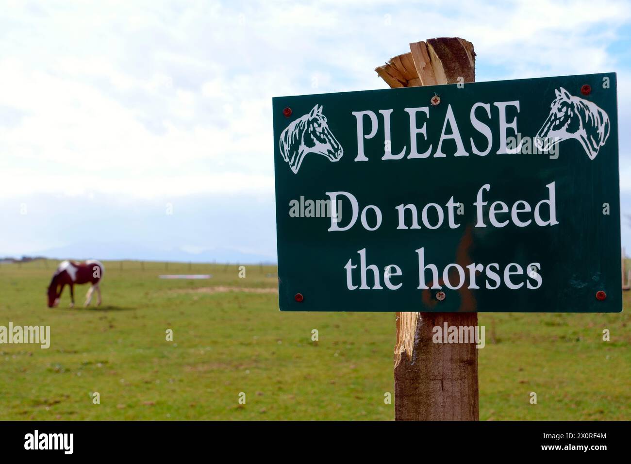 Please do not feed the horses sign Stock Photo