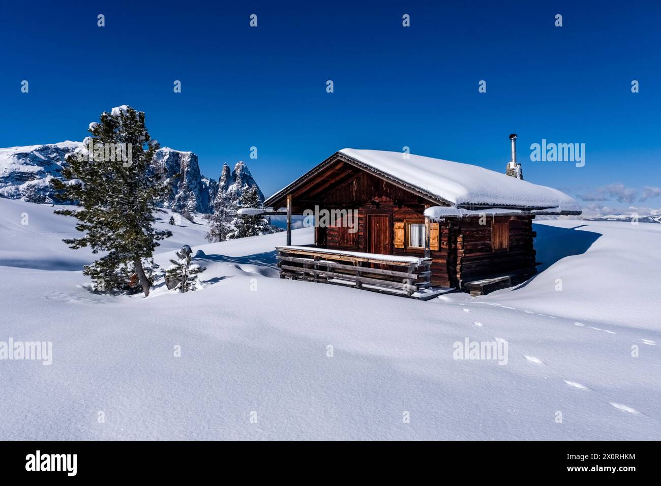 Hilly agricultural countryside with snow-covered pastures, trees and a wooden hut at Seiser Alm in winter, summits of Monte Petz and Sciliar in the di Stock Photo
