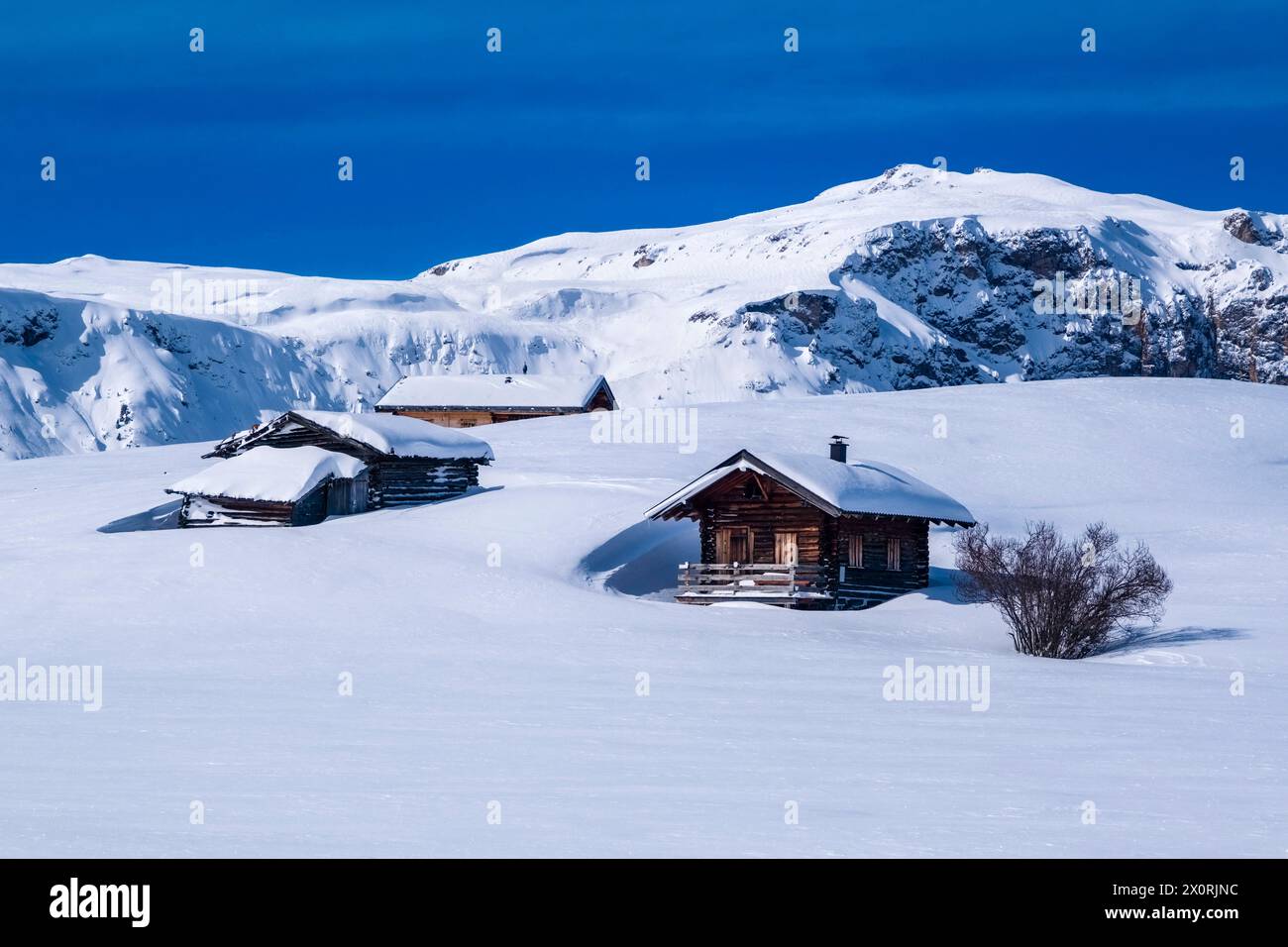 Hilly agricultural countryside with snow-covered pastures, bushes and wooden huts at Seiser Alm in winter, summit of Cima di Terrarossa in the distanc Stock Photo