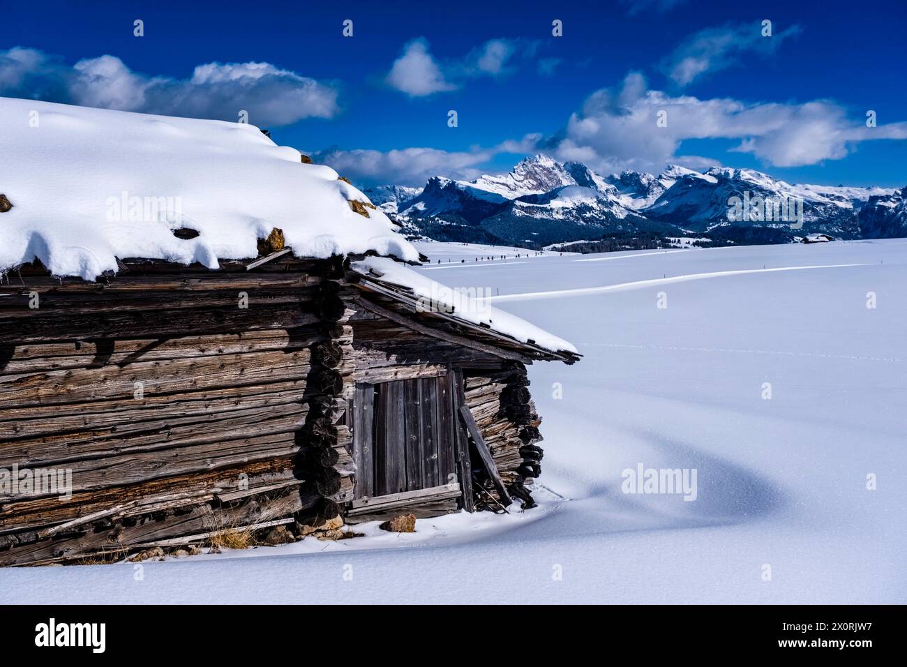 Hilly agricultural countryside with snow-covered pastures and a wooden hut at Seiser Alm in winter, summits of Gruppo delle Odle in the distance. Kast Stock Photo