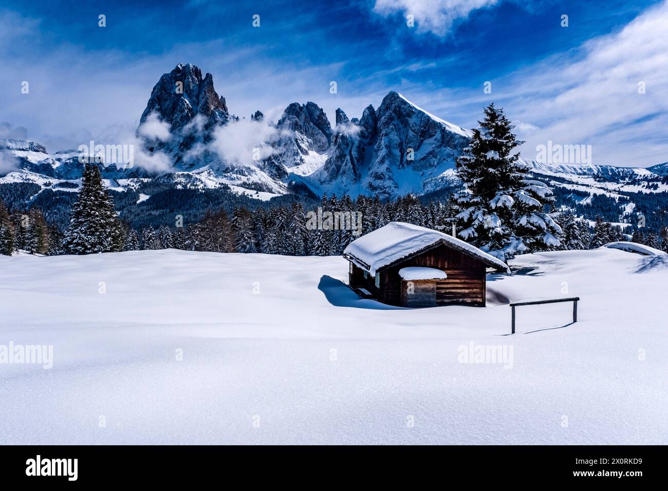 Hilly agricultural countryside with snow-covered pastures, trees and a wooden hut at Seiser Alm in winter, summits of Sassolungo and Sasso Piatto in t Stock Photo