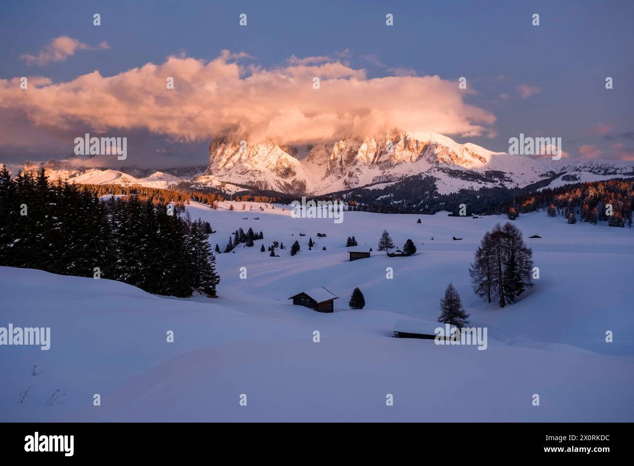 Hilly agricultural countryside with snow-covered pastures, trees and wooden huts at Seiser Alm in winter, summits of Sassolungo and Sasso Piatto in th Stock Photo