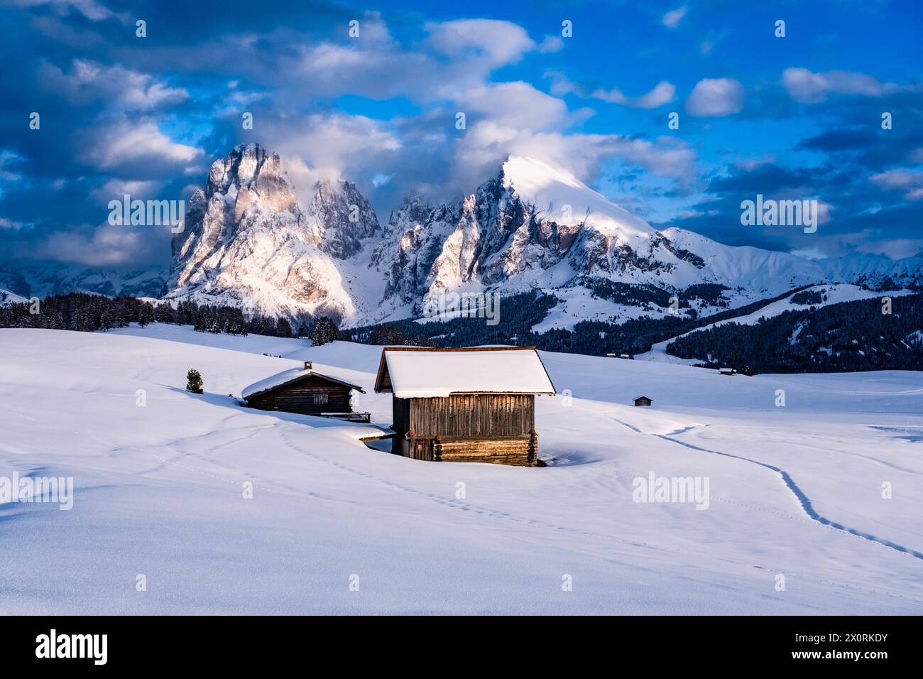 Hilly agricultural countryside with snow-covered pastures, trees and wooden huts at Seiser Alm in winter, summits of Sassolungo and Sasso Piatto in th Stock Photo