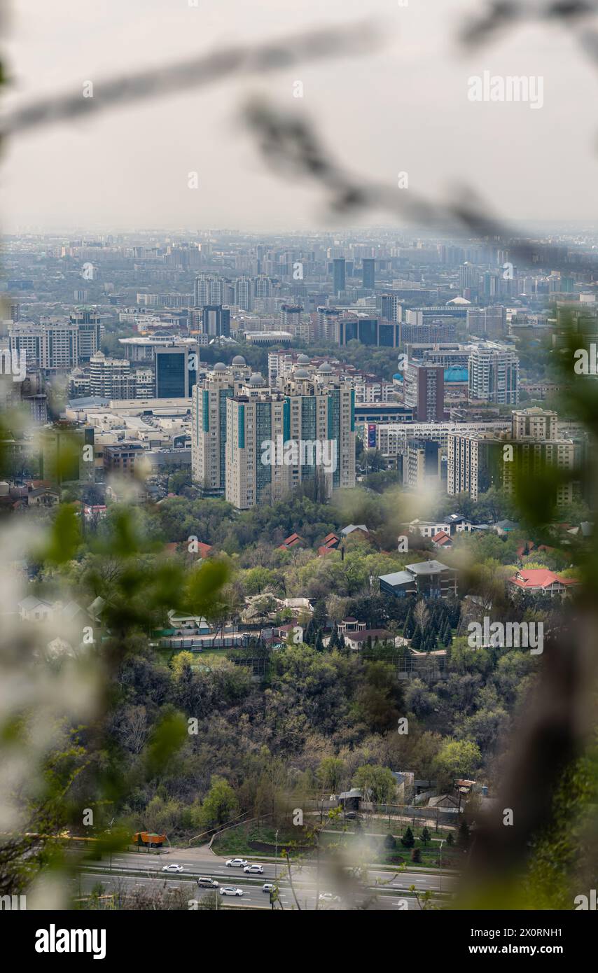View of multi-storey and low-rise buildings through the branches of flowering trees and bushes in Kok Tube park. Cityscape Almaty, Kazakhstan. Stock Photo