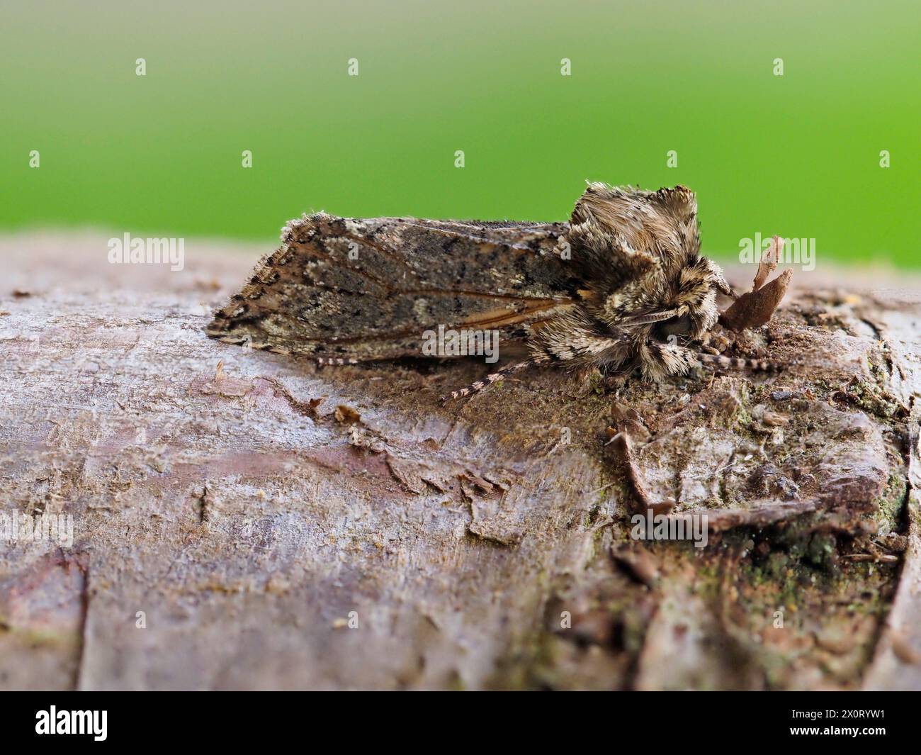 Frosted view hi-res stock photography and images - Alamy