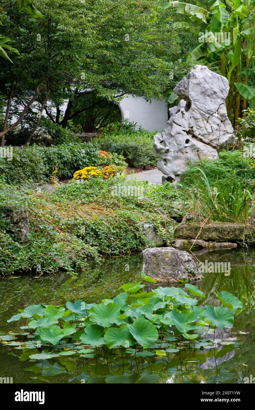 St. Louis, Missouri, USA.  Chinese Garden, Missouri Botanical Garden.  Nanjing Friendship Garden, with Moon Gate, Eroded Limestone Stones. Stock Photo