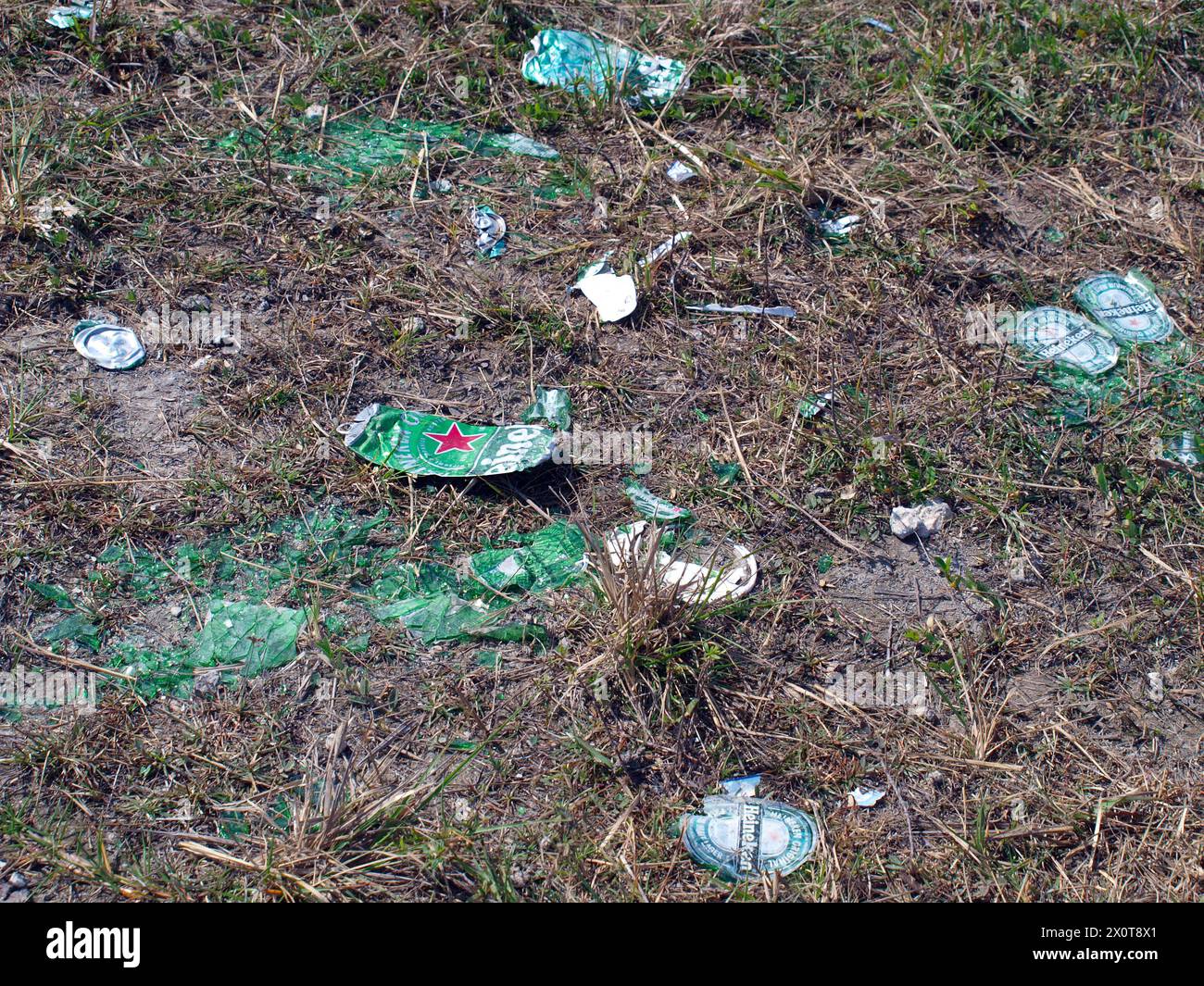 Miami, Florida, United States - March 16, 2024: Heineken beer containers trashing an area of the Everglades. Pollution problem in South Florida. Stock Photo