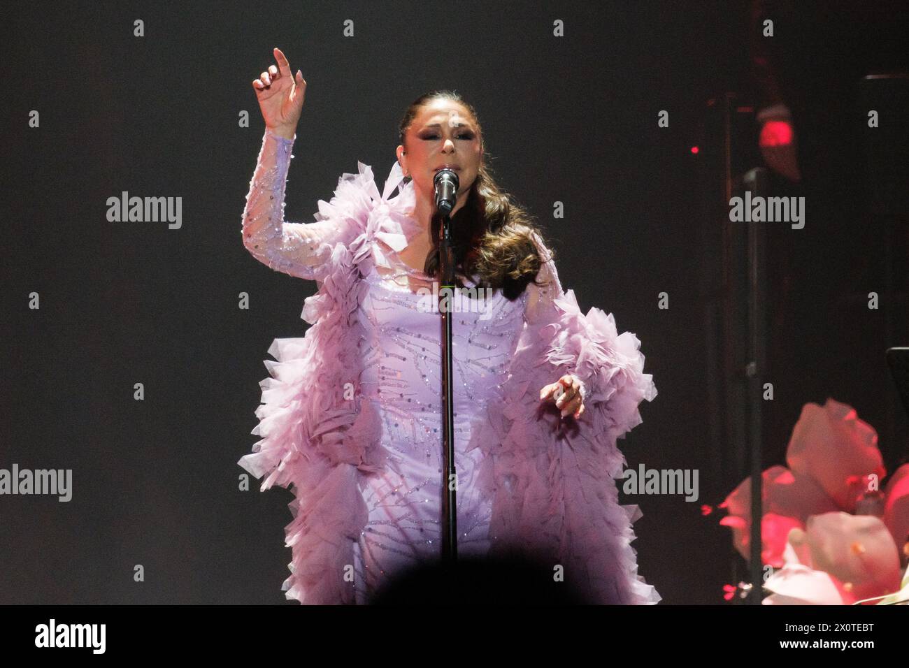 Madrid, Spain. 13th Apr, 2024. Isabel Pantoja performs on stage at Wizink Center on April 13, 2024 in Madrid, Spain. Credit: Sipa USA/Alamy Live News Stock Photo