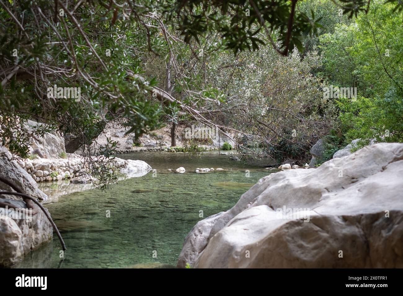 Clear rocky stream high quality hi-res stock photography and images - Alamy