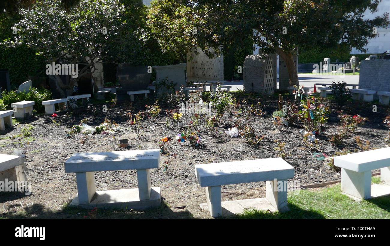 Hollywood, California, USA 9th April 2024 Actress Coral Browne Grave in Rose Garden at Hollywood Forever Cemetery on April 9, 2024 in Hollywood, California, USA. Photo by Barry King/Alamy Stock Photo Stock Photo