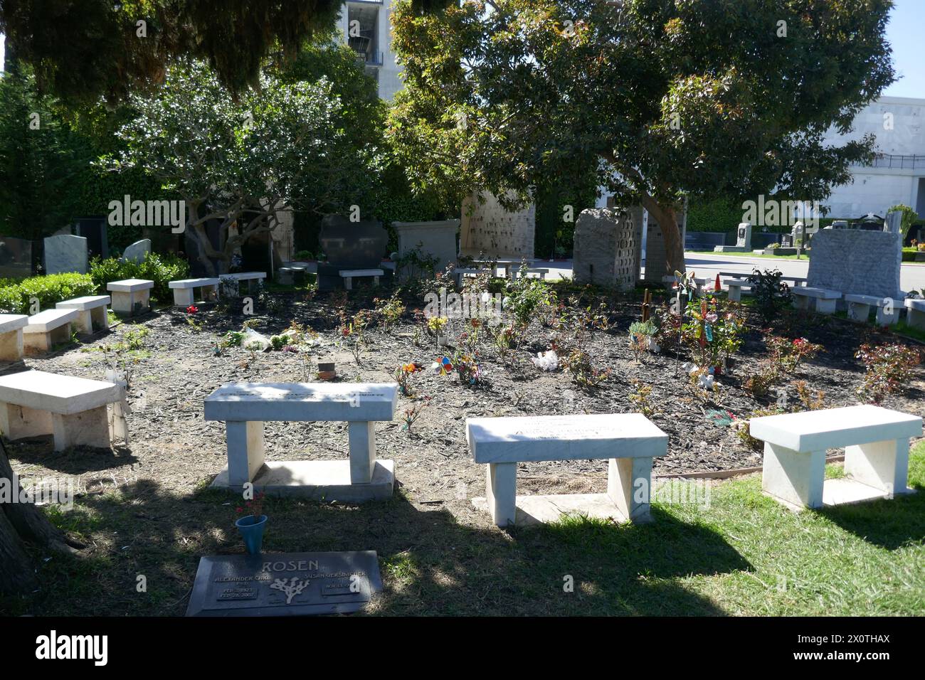 Hollywood, California, USA 9th April 2024 Rose Garden at Hollywood Forever Cemetery on April 9, 2024 in Hollywood, California, USA. Photo by Barry King/Alamy Stock Photo Stock Photo